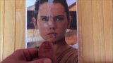 Tribute Daisy Ridley snapshot 3