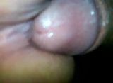 getting it wet with my precum snapshot 9