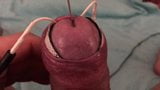Elektro işkenceli penis başımı yavaşça açığa çıkarıyorum snapshot 6