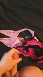 Panties! Jerk off on stepmom panties ! snapshot 9