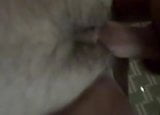 Hairy Pussy Fuck snapshot 7