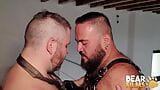 Bearfilms - gordos ursos adam jones e brian bear bareback snapshot 4