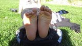 Soles snapshot 1