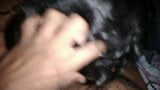 Sri Lankan Wife Gives Blowjob snapshot 1