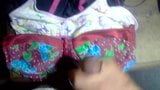 Sborra sul reggiseno snapshot 3