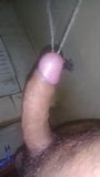 Hard dick snapshot 2