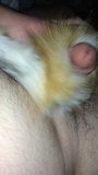 Jerking off with Fox Fur snapshot 5