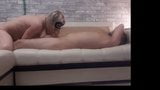 Sanfte Massage und Blowjob snapshot 16