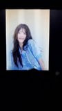 Bae Suzy con omaggio snapshot 1