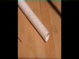 Diy Blowjob-Gerät snapshot 1