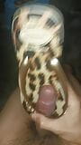 Cum In New Havaianas Animal Print 2023 snapshot 8