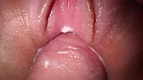 Lik stiefzus poesje, close -up neuken en cumshot wrijven snapshot 7