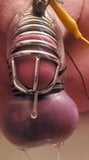 Dripping precum in electro chastity snapshot 9