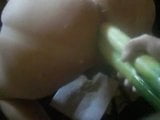 vegetable anal snapshot 2