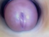 Shemale cums In Fleshlight at 24:30 snapshot 12