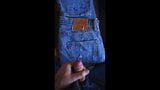 穿着 levi&#39;s 501 ct 牛仔裤的下午乐趣 snapshot 10