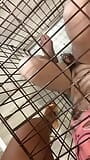 Dominatrix Evgenia - mon esclave vit dans une cage (partie 3) snapshot 2