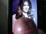 tribute to elizabeth hurley snapshot 3