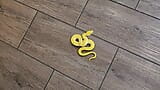 Fearful Woman called about snake in her house & was taught a valuable lesson by snake catcher snapshot 3