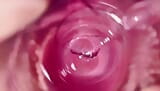 SUPER CLOSE UP - this is what the inside of the vagina looks like snapshot 16