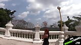 White Dragon View, Balcony Cum snapshot 2