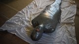 Ronni's FULL DUCT TAPE MUMMIFICATION snapshot 2