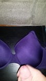 Bailey's big 38C bra sprayed with cum snapshot 7