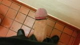 Vibrator Makes My Cock Cum In Public Bathroom snapshot 1