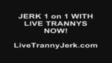 pearl Tranny Live Sex snapshot 1