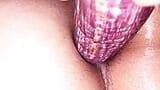 Awek seksi Asia menurunkan brinjal snapshot 5