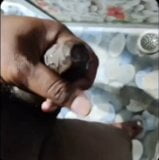 Indian black cock cumming videos snapshot 5
