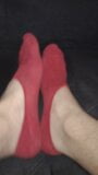 Red Socks snapshot 16