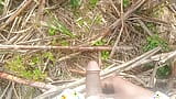 Land urine in sugarcane field hand and job mudhe mare snapshot 15