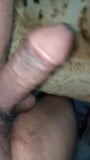 Hint büyük horoz (penis) sert penis gibi görünüyor snapshot 5