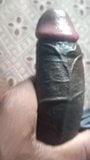 My dick snapshot 3