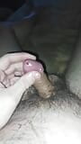 Pene pequeño snapshot 2