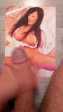 I pray to my goddess Lisa Ann snapshot 3