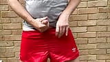 Last time these Vintage Glanz adidas nylon shorts will look like this snapshot 11