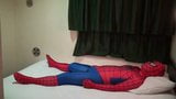 zentai zebra vs spiderman snapshot 1