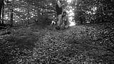 Naked submissive slut taken for a walk on a leash in forest HUMILIATION snapshot 14