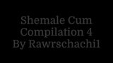 Shemale Cumpilation 4 snapshot 1