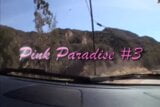 PINK PARADISE - vol. #01 snapshot 1