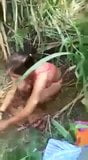 Desi village girlfriend khet me chudai snapshot 2