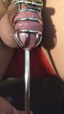 sissy sounds herself in a shiny metal cock cage snapshot 2