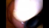 Kijk in de pik -endoscoop met de buis die de cam diep inbrengt snapshot 6