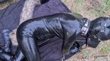 Dog slut orgasm, Celeste receives dog training outdoors snapshot 12