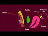 How The Vagina Works snapshot 3