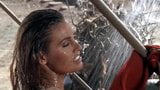 Raquel welch snapshot 6