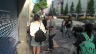 Жәндіктермен жыныстық қатынас