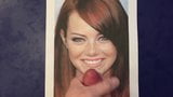 Tribute To Emma Stone snapshot 4